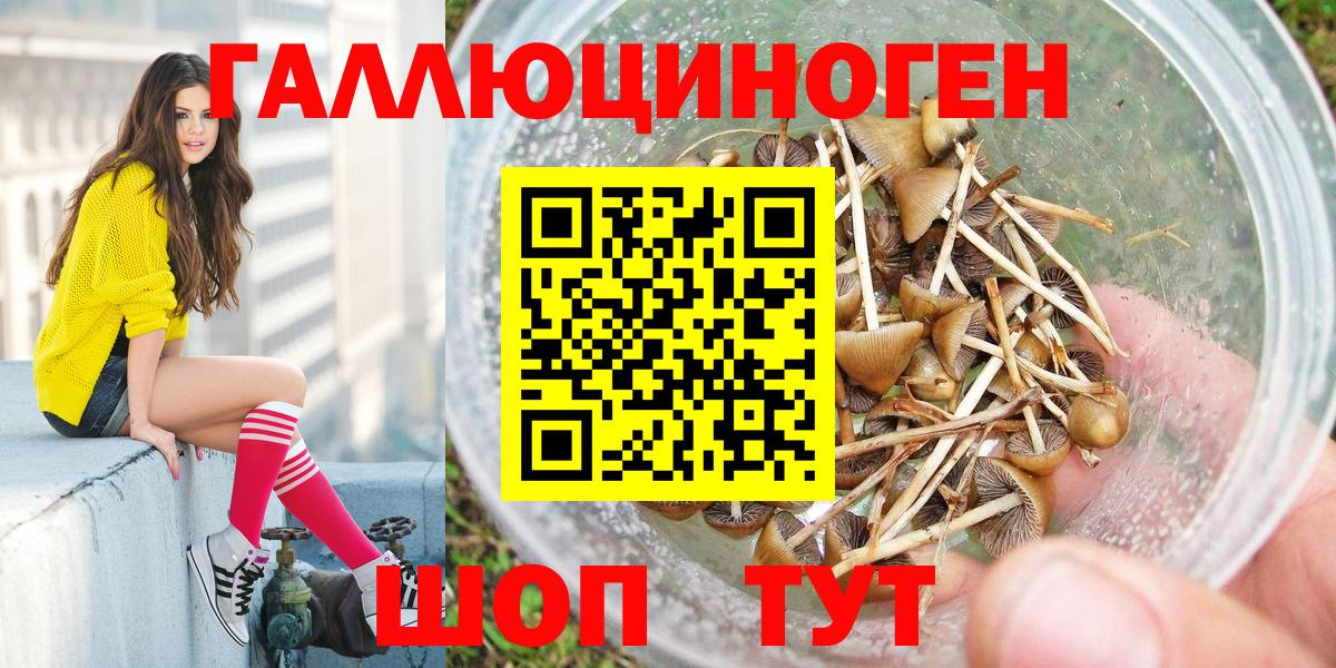 Псилоцибиновые грибы Magic Shrooms Пермь