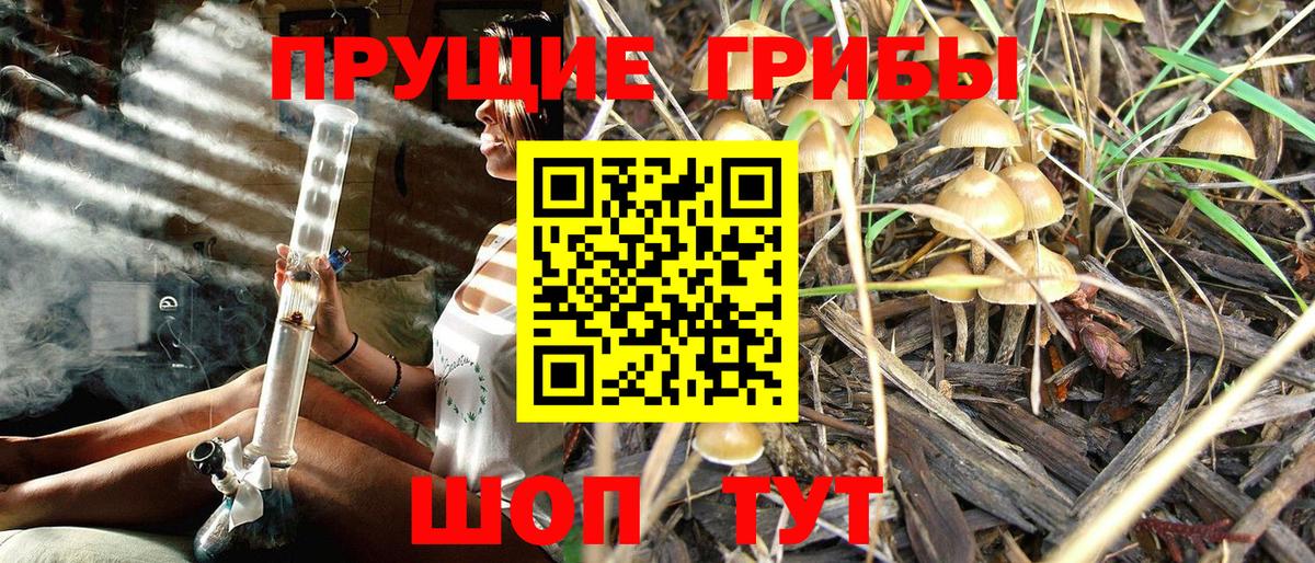 Пермь  Галлюциногенные грибы Psilocybine cubensis  Псилоцибиновые грибы мицелий  Вход с VPN 
